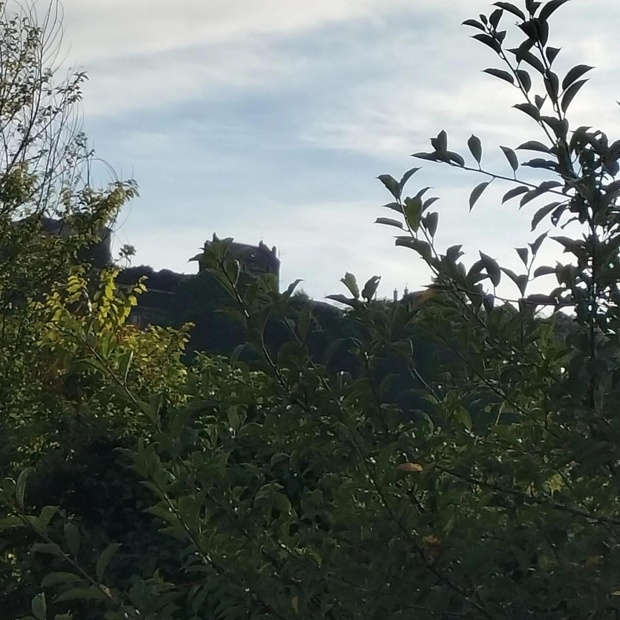 Maison Charmante A Saint-Satur Avec Jardin Et Terrasse Dış mekan fotoğraf